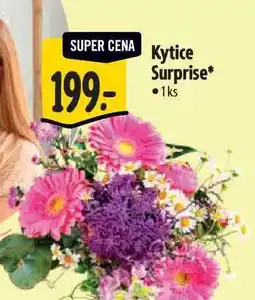 Albert Kytice Surprise 1ks nabídka