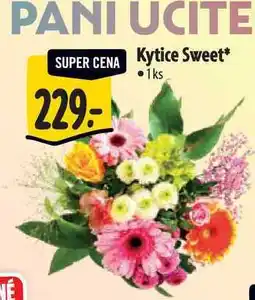 Albert Kytice Sweet 1 ks nabídka