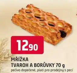 Trefa MŘÍŽKA TVAROH A BORŮVKY nabídka