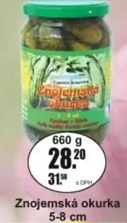 Adam Znojemská okurka 5-8 cm nabídka