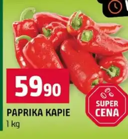 Terno Paprika kapie nabídka