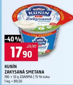 Terno Kunin zakysaná smetana nabídka