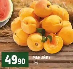 Terno Meruňky nabídka