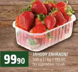 Terno Jahody zahradní nabídka