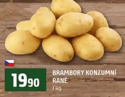 Terno Brambory konzumní rané nabídka