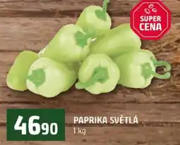 Terno Paprika světlá nabídka