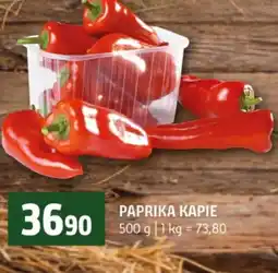 Terno Paprika kapie nabídka