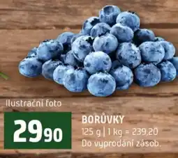 Terno Borůvky nabídka