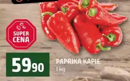 Terno Paprika kapie nabídka