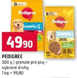 Terno Pedigree nabídka