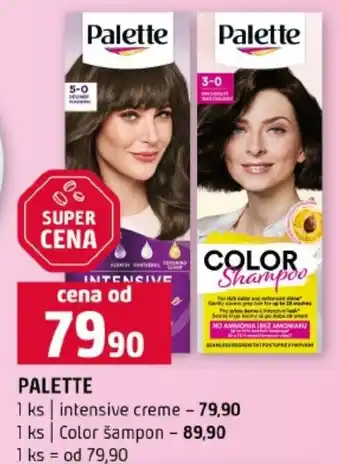 Terno Palette nabídka