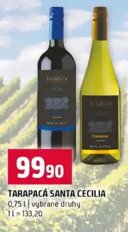 Terno Tarapacá santa cecilia nabídka