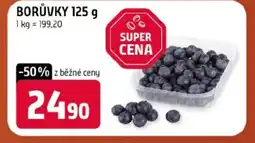 Terno Borůvky nabídka