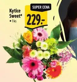 Albert Kytice Sweet nabídka