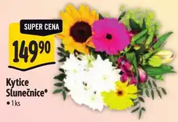Albert Kytice Slunečnice nabídka