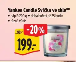 Albert Yankee Candle Svíčka ve skle nabídka
