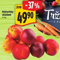 Albert Nektarinky skládané nabídka