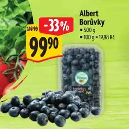 Albert Albert Borůvky nabídka