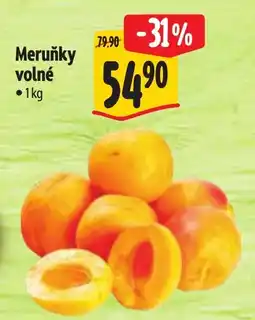 Albert Meruňky volné nabídka