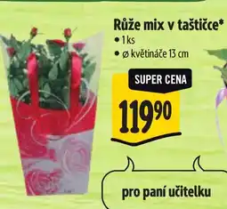 Albert Růže mix v taštičce nabídka