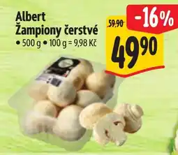 Albert Albert Žampiony čerstvé nabídka
