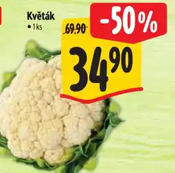 Albert Květák nabídka