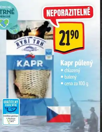 Albert Kapr půlený nabídka