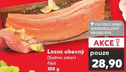 Kaufland Losos obecný (Salmo salar) filet nabídka