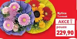 Kaufland Kytice 1 svazek nabídka