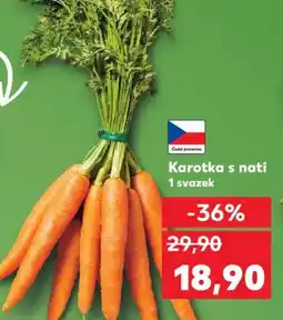 Kaufland Karotka s nati 1 svazek nabídka