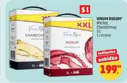 Penny Market VINUM REGUM Merlot nabídka