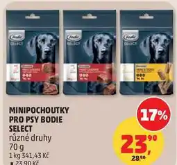 Penny Market MINIPOCHOUTKY PRO PSY BODIE SELECT různé druhy nabídka
