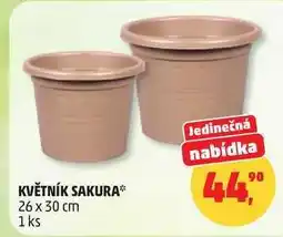 Penny Market KVĚTNÍK SAKURA 26 x 30 cm, 1 ks nabídka