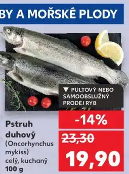 Kaufland Pstruh duhový nabídka