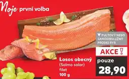 Kaufland LOSOS OBECNÝ nabídka