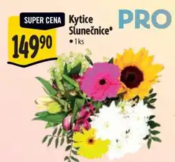 Albert Kytice slunečnice nabídka