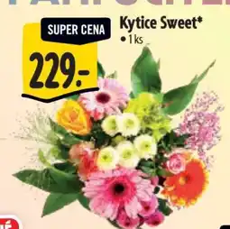 Albert Kytice Sweet nabídka