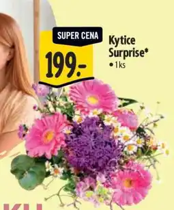 Albert Kytice Surprise nabídka