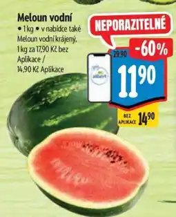 Albert MELOUN VODNÍ nabídka