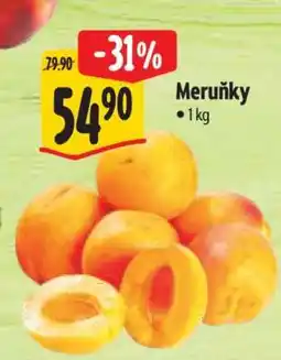 Albert Meruňky nabídka