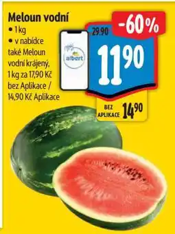 Albert MELOUN VODNÍ nabídka