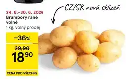 Tesco Brambory rané volné nabídka