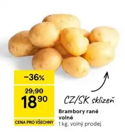 Tesco Brambory rané volné nabídka