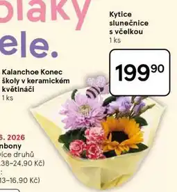 Tesco Kytice slunečnice s včelkou nabídka