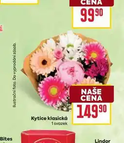 Billa Kytice klasická 1 svazek nabídka