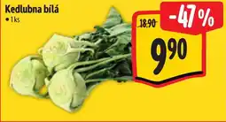 Albert Kedlubna bílá nabídka