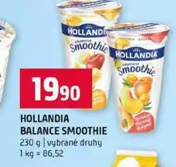 Terno HOLLANDIA BALANCE SMOOTHIE 230 g vybrané druhy nabídka