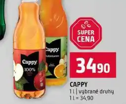 Terno CAPPY 1l vybrané druhy nabídka