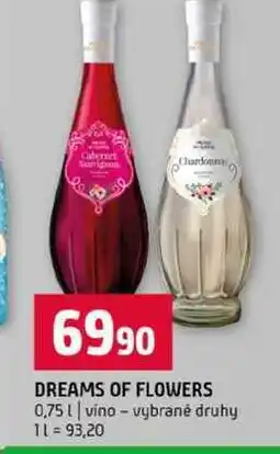Terno DREAMS OF FLOWERS 0,75l vino vybrané druhy nabídka