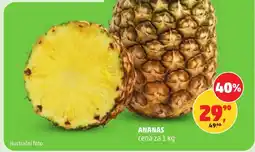 Penny Market Ananas nabídka
